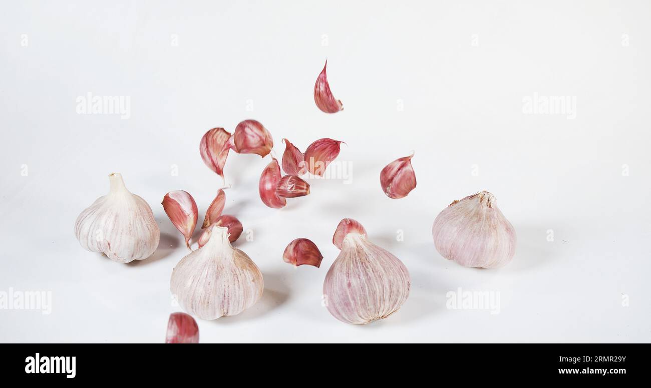 Garlic, allium savitum, Falling against White Background Stock Photo ...