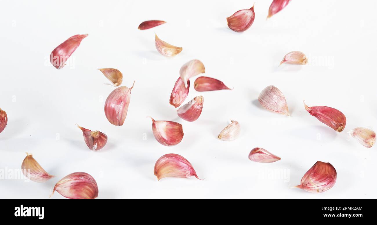 Garlic, allium savitum, Falling against White Background Stock Photo ...