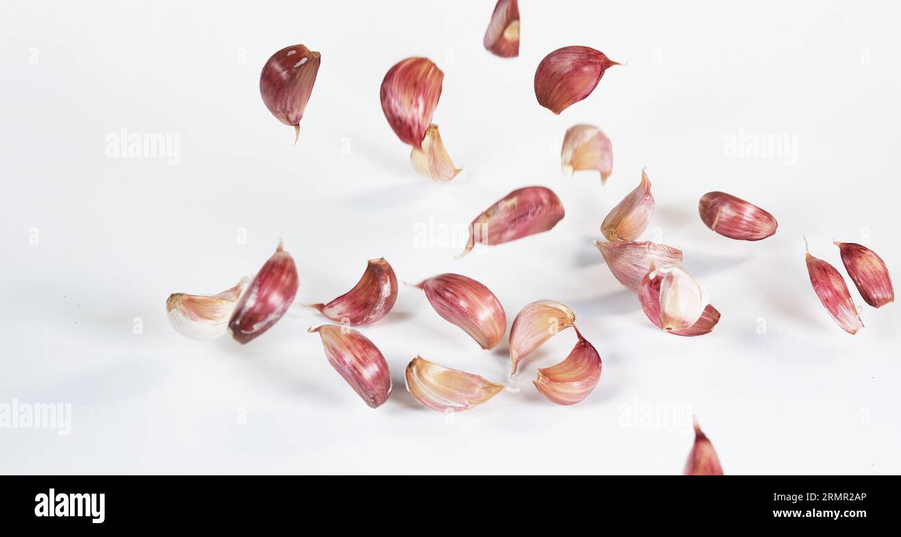 Garlic, allium savitum, Falling against White Background Stock Photo ...