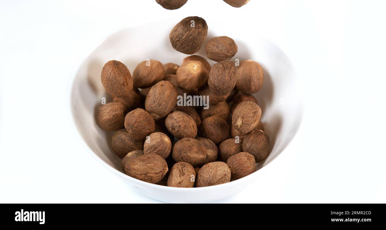 Nutmeg, myristica fragans, Nuts falling against White Background Stock