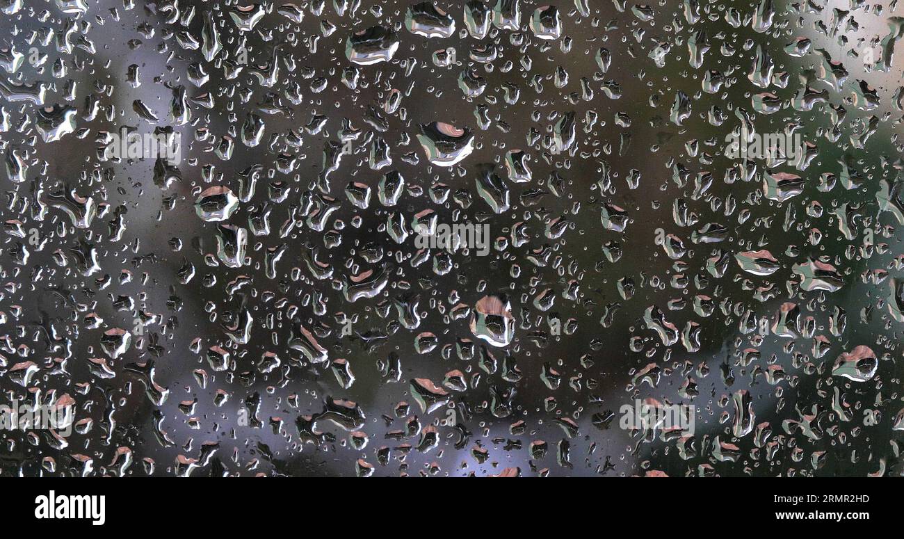 Rain dripping on the windshield of the car stock photo alamy