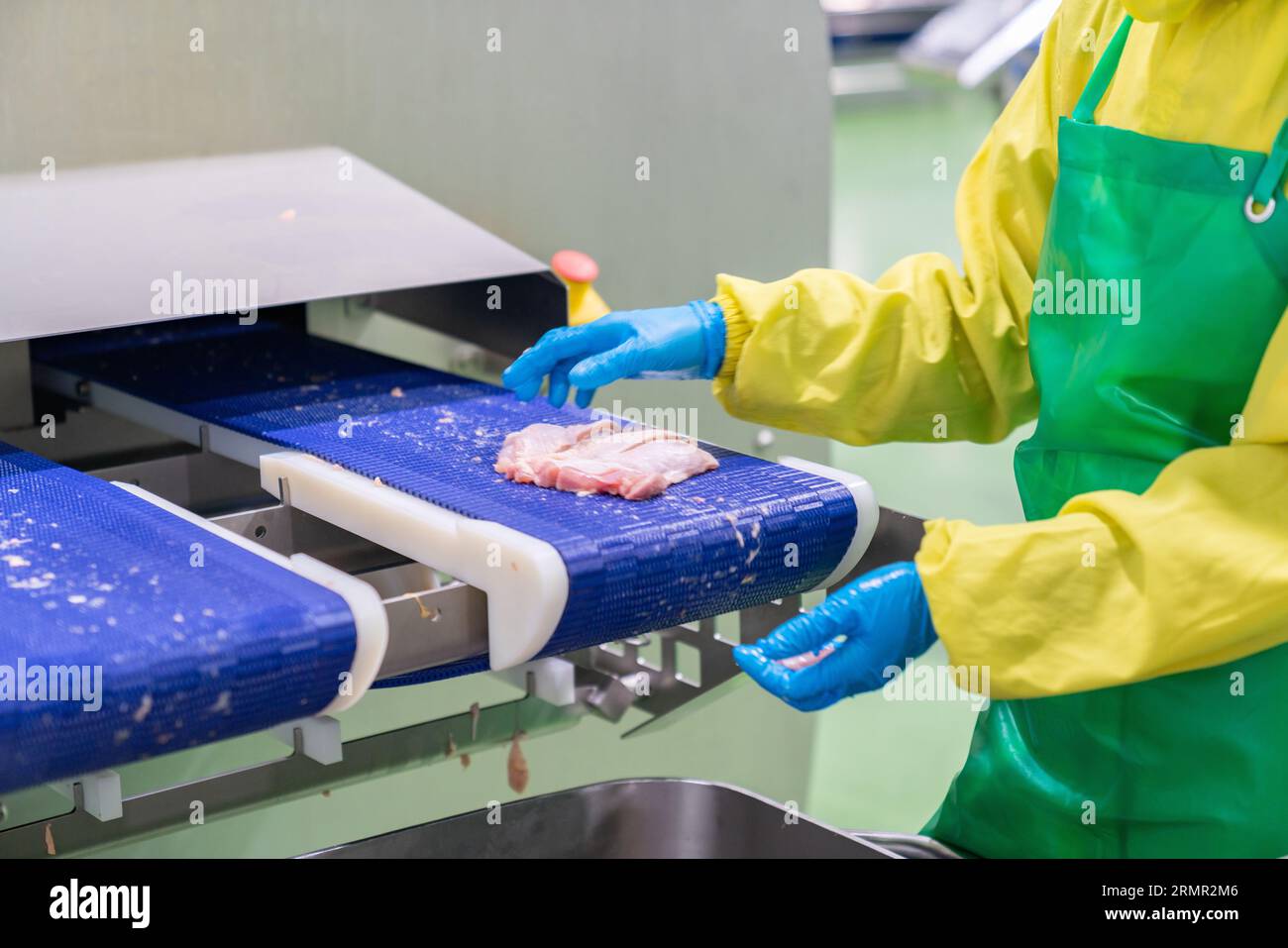 Chicken meat load out from automate cutting machine after cut in production line. Stock Photo