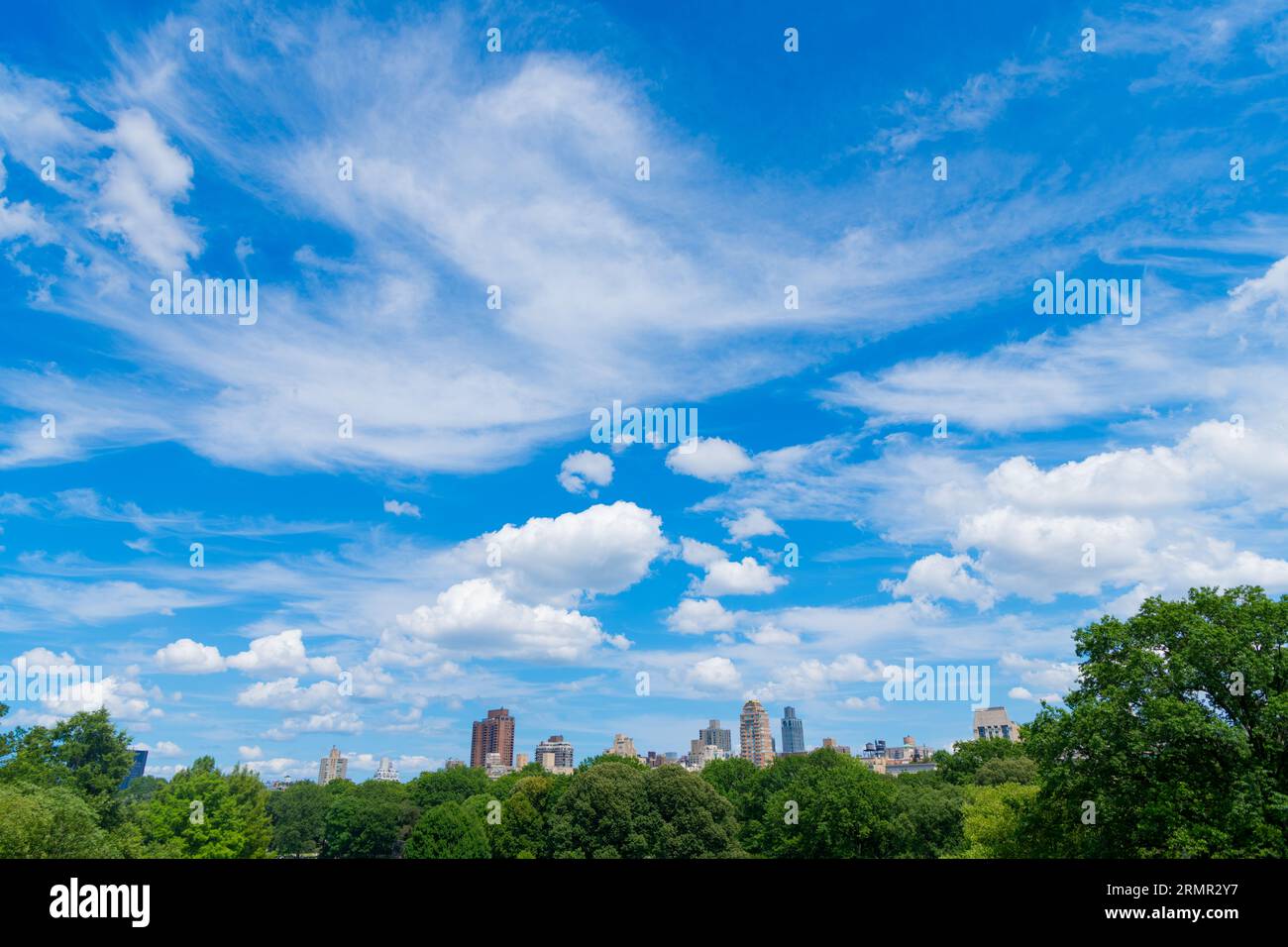 city nature landscape with skyscraper. central park of new york. Central Park summer and building in midtown Manhattan New York City. USA, New York Ci Stock Photo