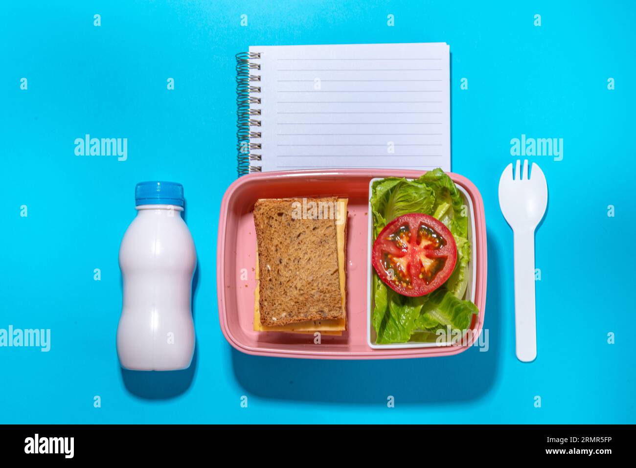 Healthy school meal, back to school concept. Children packed lunch box