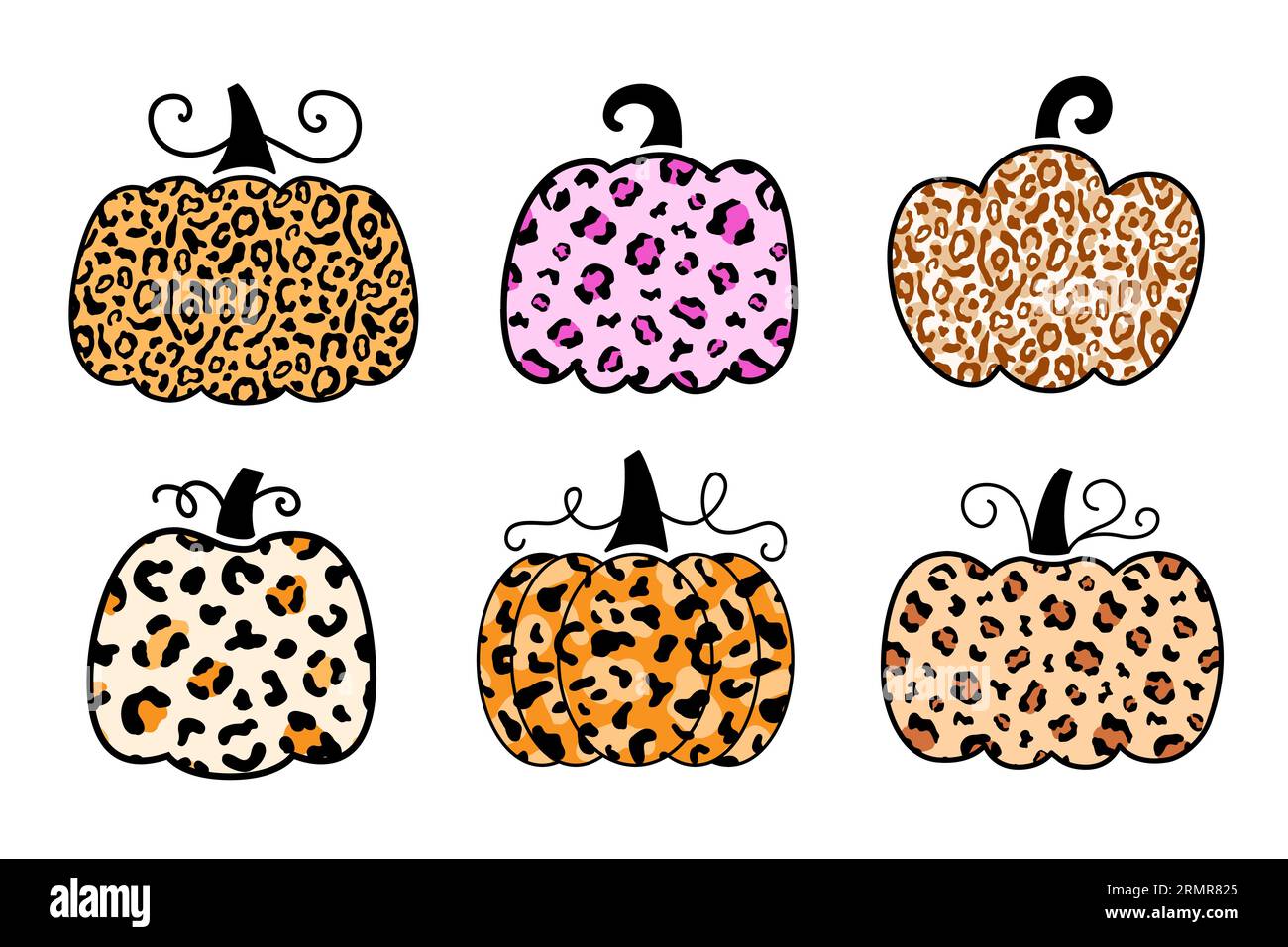 Decorative Cheetah Leopard Pumpkin Print Set Stock Vector