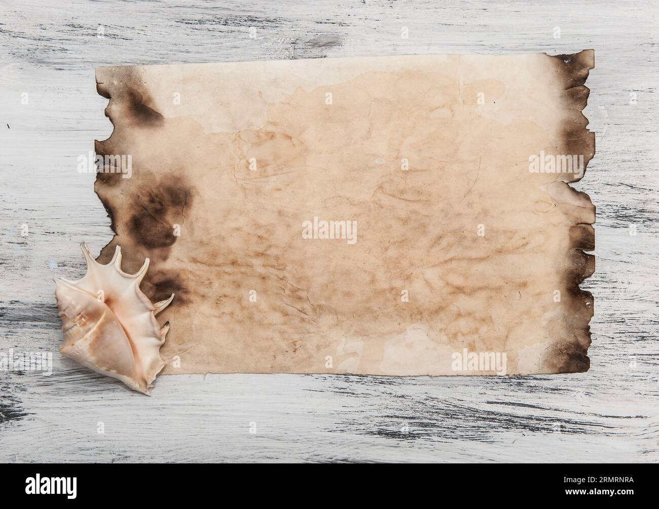 background with old burnt paper and a shell on a light wood Stock Photo ...