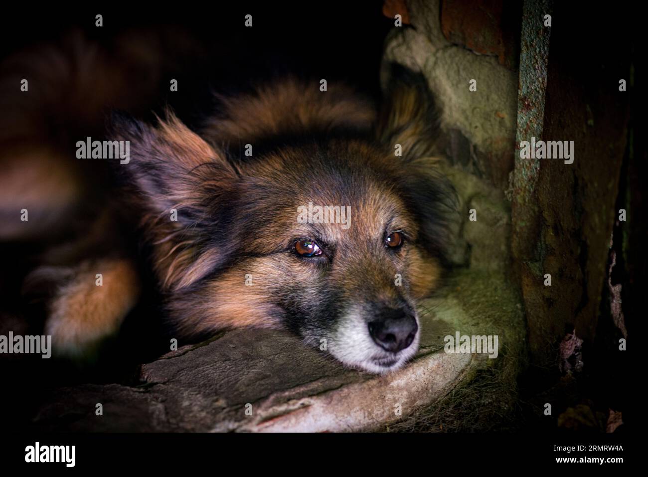 Expressive way hi-res stock photography and images - Alamy