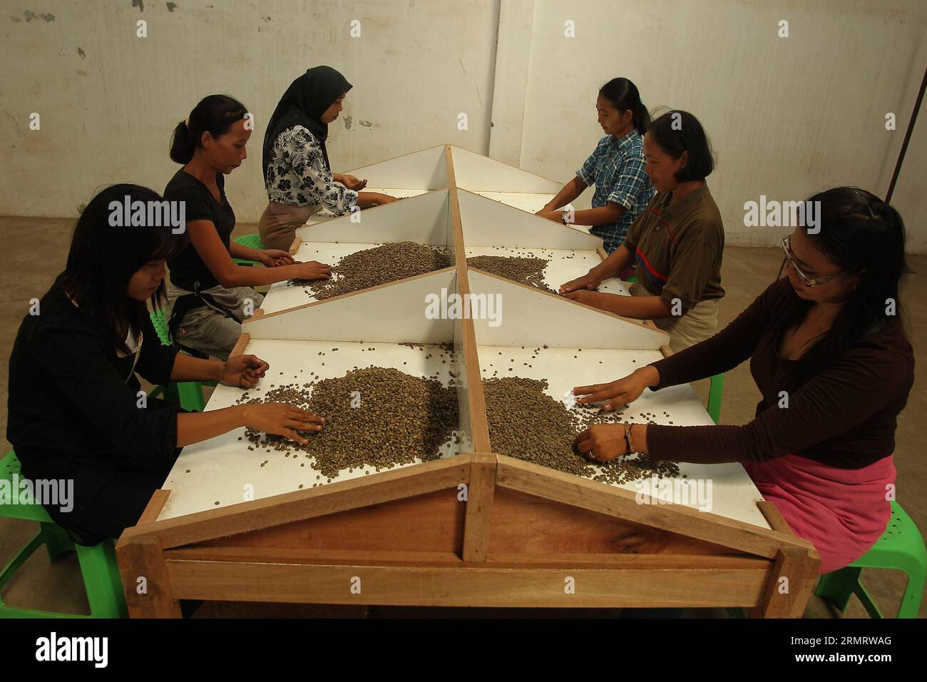 (140804) -- JAKARTA, Aug. 4, 2014 -- Workers select arabica coffee beans for export before they are roasted in Deliserdang, North Sumatra, Indonesia, Aug. 4, 2014. Coffee shipments from Sumatra, Indonesia, the world s third-biggest grower of the robusta variety, dropped 41 percent in June, due to raising concerns about the size of the crop, according to Volcafe Ltd. ) INDONESIA-NORTH SUMATRA-ARABICA COFFEE BEANS TantoxH. PUBLICATIONxNOTxINxCHN   Jakarta Aug 4 2014 Workers Select Arabica Coffee Beans for Export Before They are Roasted in  North Sumatra Indonesia Aug 4 2014 Coffee shipments from Stock Photo