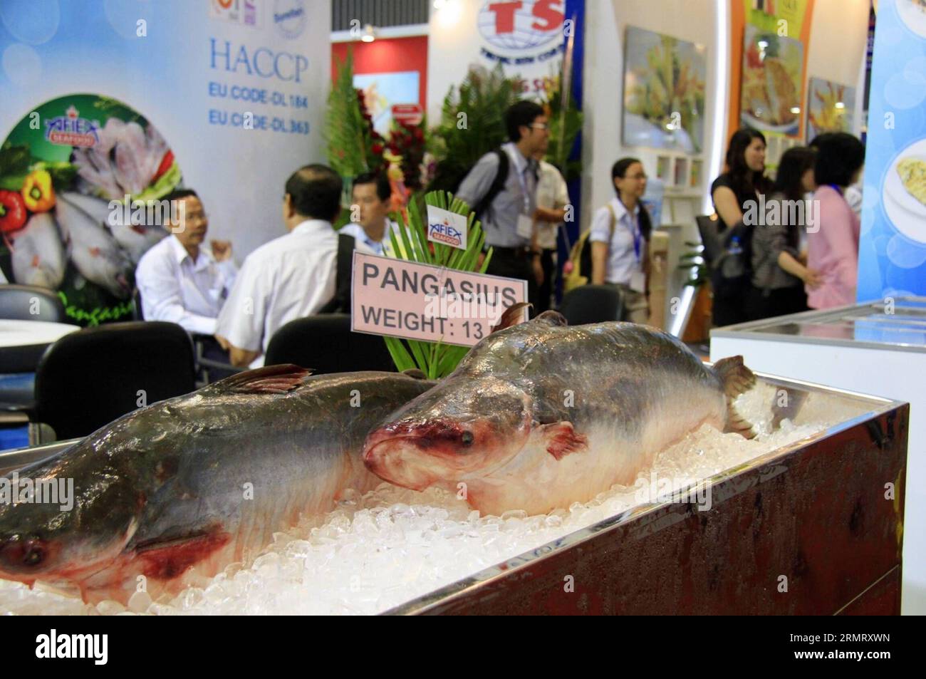 (140806) -- HO CHI MINH CITY, Aug. 6 -- An exhibitor displays pangasius fish during the 2014 Vietnam Fisheries International Exhibition in Ho Chi Minh city, Vietnam, Aug. 6, 2014. The exhibition runs from Aug. 6 to 8 at Saigon Exhibition Convention Center (SECC) in Ho Chi Minh city, Vietnam. ) VIETNAM-HO CHI MINH CITY-FISHERIES EXHIBITION NguyenxLexHuyen PUBLICATIONxNOTxINxCHN   Ho Chi Minh City Aug 6 to exhibitor Displays Pangasius Fish during The 2014 Vietnam Fisheries International Exhibition in Ho Chi Minh City Vietnam Aug 6 2014 The Exhibition runs from Aug 6 to 8 AT Saigon Exhibition Con Stock Photo