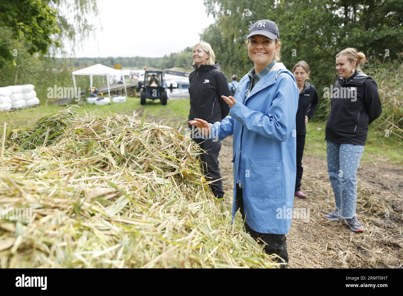 Stockholm, Sweden. 30th Aug, 2023. Sweden's Crown Princess Victoria harvests reed at Rydboholm farm in Akersberga, outside Stockholm, Sweden, on August 30, 2023. Photo: Christine Olsson/TT/kod 10430 Credit: TT News Agency/Alamy Live News Stock Photo