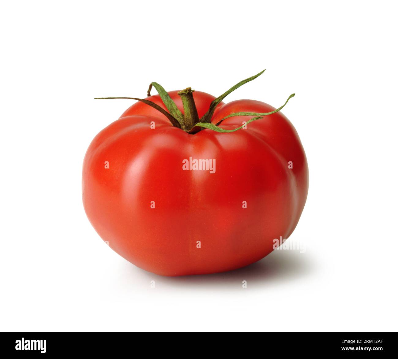Beefsteak tomato, isolated on white background Stock Photo Alamy