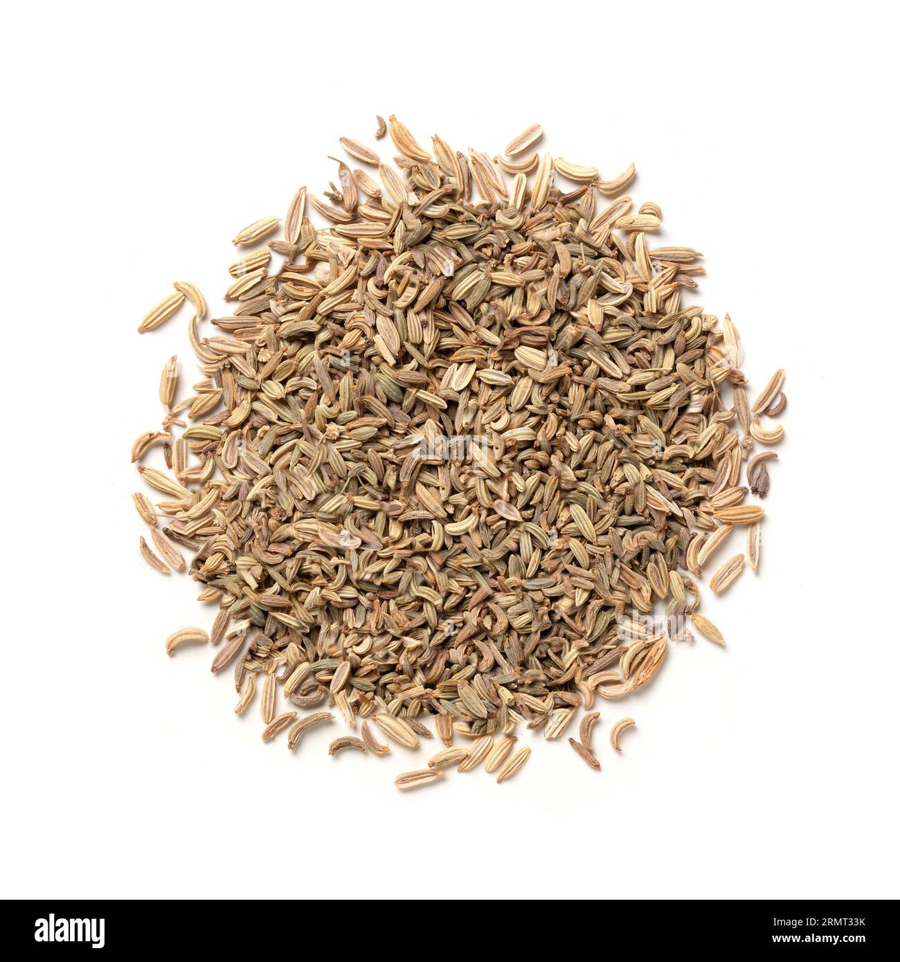 Fennel Seeds Heap of Oriental Aromatic Condiment Aroma Top View