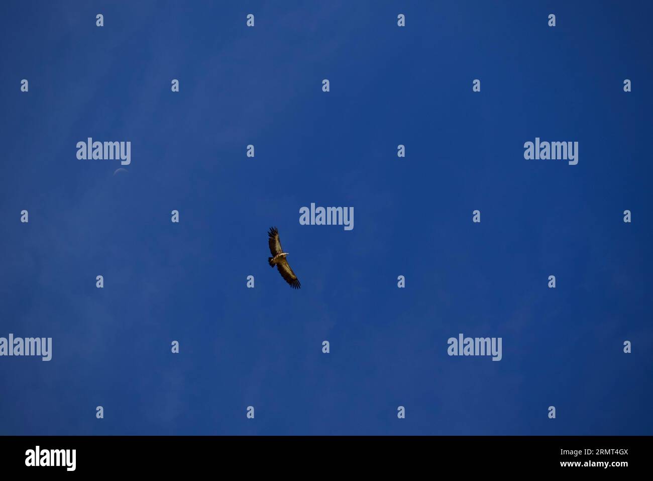 Valle etroite hi-res stock photography and images - Alamy