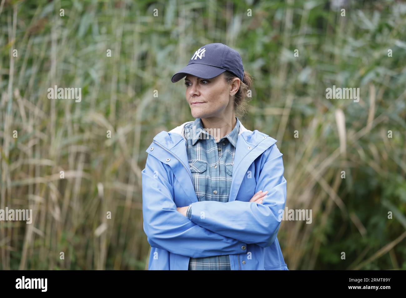 Sweden's Crown Princess Victoria harvests reed at Rydboholm farm in Akersberga, outside Stockholm, Sweden, on August 30, 2023. Photo: Christine Olsson / TT / code 10430 Stock Photo