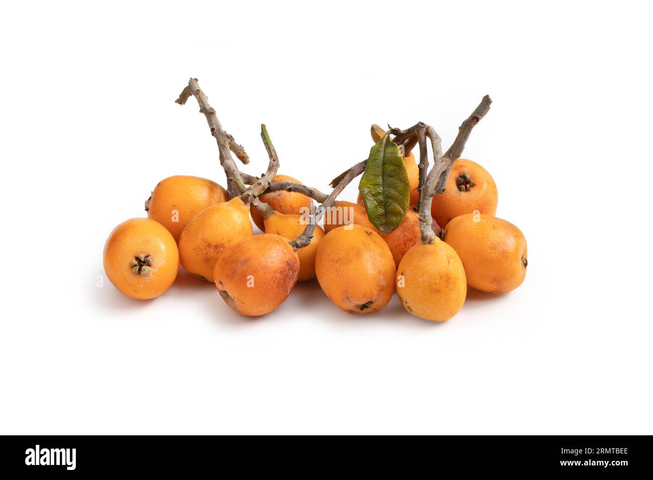 Medlar Fruit with Branch and Leaf, Isolated on White Background Bunch