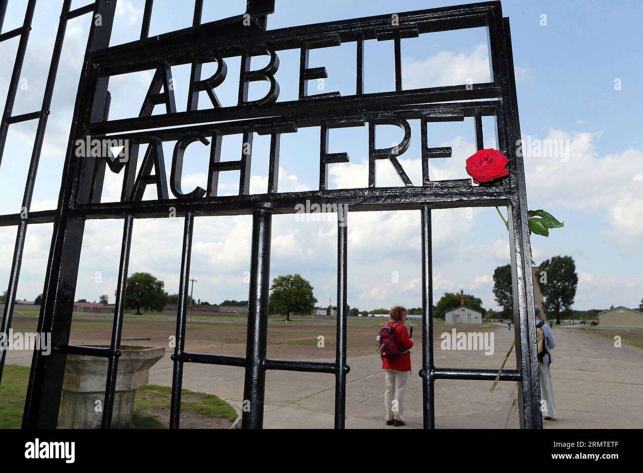 Nazi Flower Germany sachsenhusen hi-res stock photography and images - Alamy