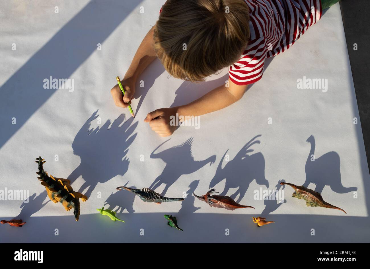 boy draws contrasting shadows from different figures of toy dinosaurs standing in row. little scientist, ideas for development of creative thinking, g Stock Photo