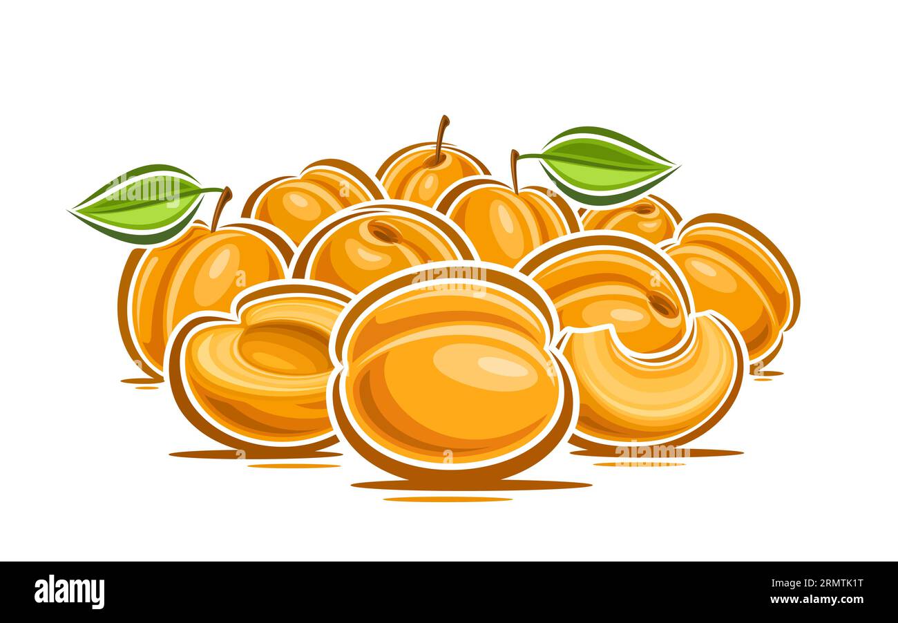 Vector logo for Apricots, decorative horizontal poster with cartoon