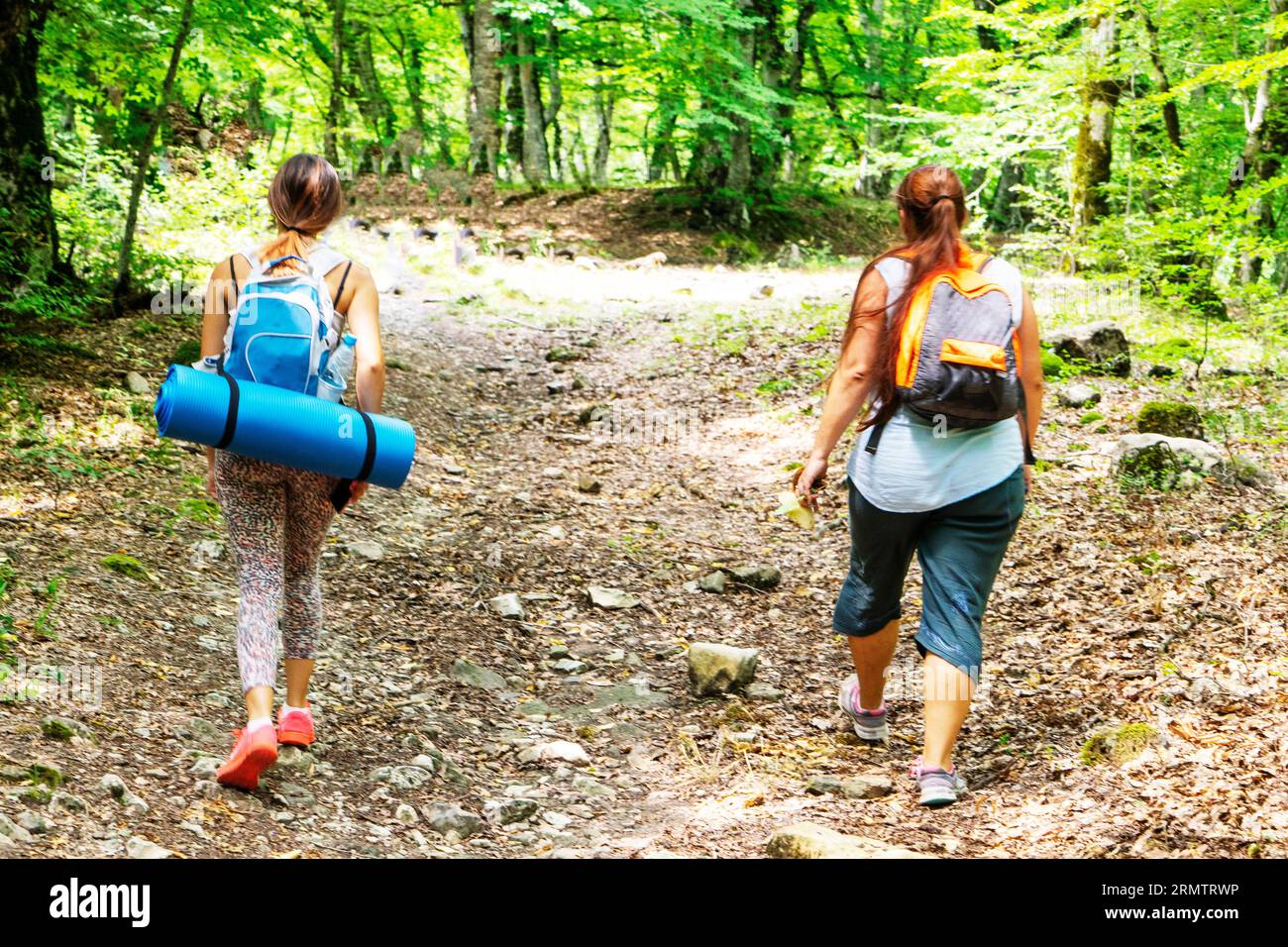 view from the back of a two woman tourist with a backpack walking ...
