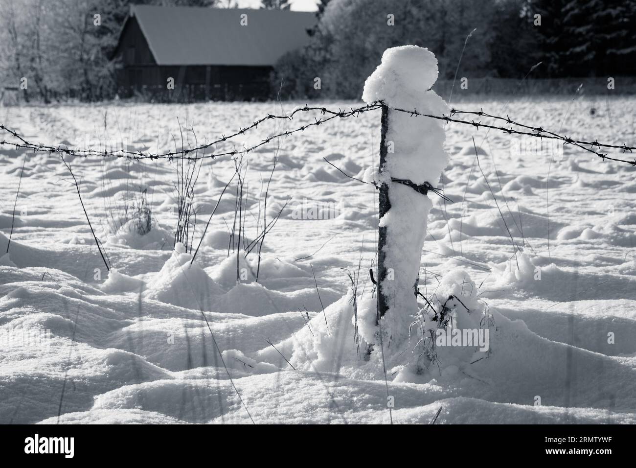 Barbed wire fence with snow - black and white photo Stock Photo