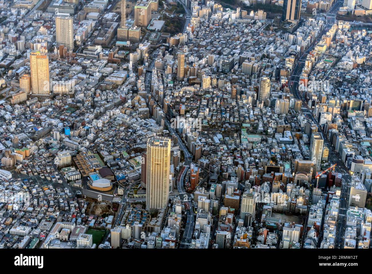 MÉTROPOLISSON JANOL APIN 写真集 citylights.tokyo | Som とどまり model nanase
