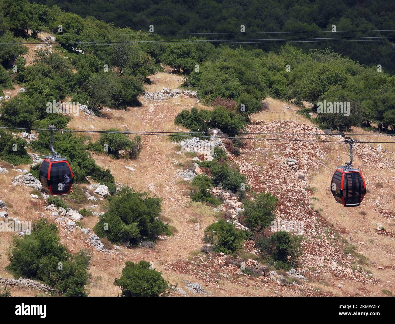 A journey in the green forests of Ajloun in Jordan, from inside the Ajloun Cable Car (Ajloun Teleferik) street, trees Stock Photo
