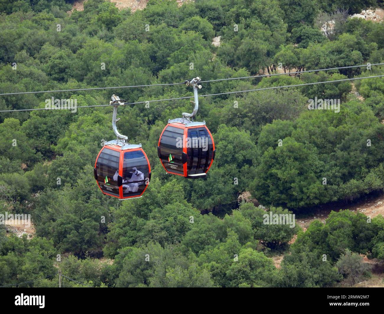 A journey in the green forests of Ajloun in Jordan, from inside the Ajloun Cable Car (Ajloun Teleferik) street, trees Stock Photo