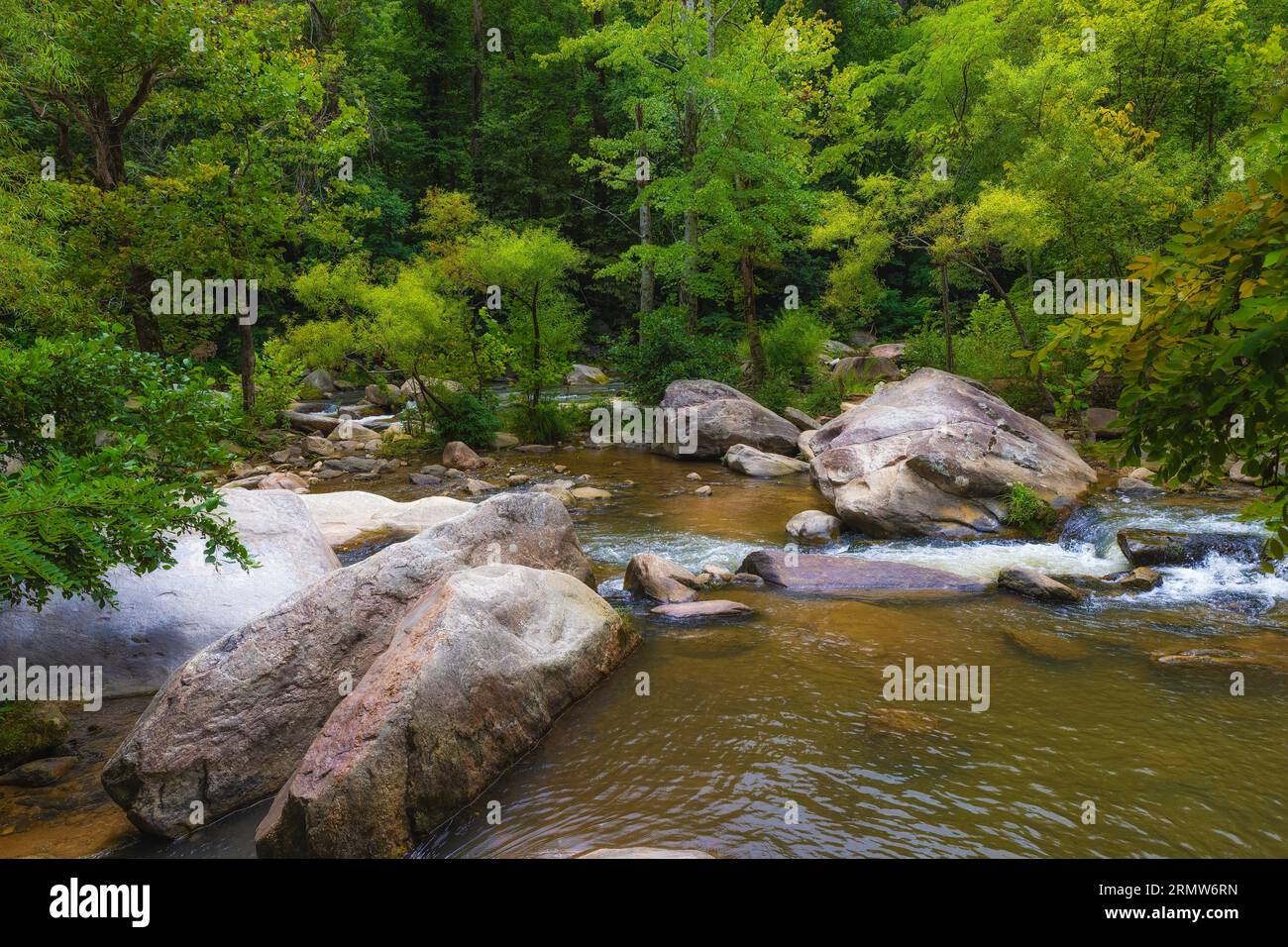 River walk along the French Broad River which locals referr to as the