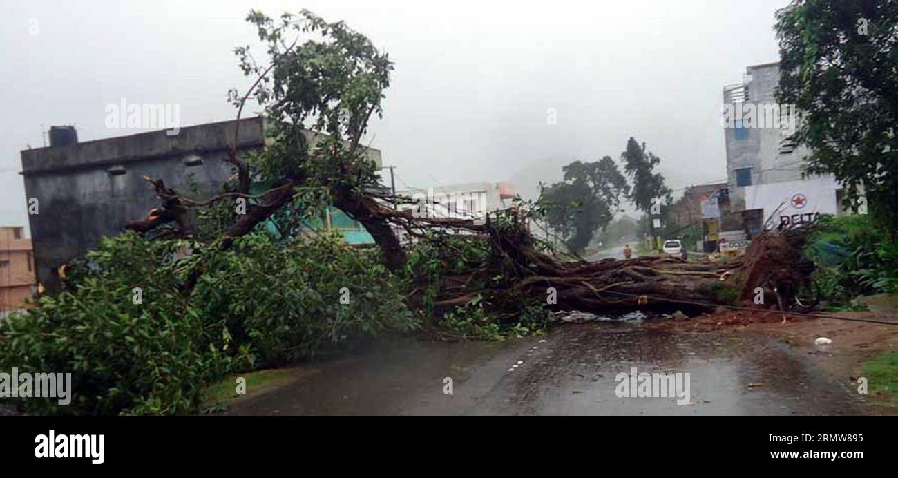Trees are seen uprooted and power cables snapped as the severe cyclone storm Hudhud swept through India s southern city of Visakhapatnam on Oct. 12, 2014. At least six people were killed on Sunday because of the cyclone, said officials.)(zhf) INDIA-VISHAKHAPATNAM-CYCLONE Stringer PUBLICATIONxNOTxINxCHN   Trees are Lakes Uprooted and Power cables snapped As The severe Cyclone Storm  Swept Through India S Southern City of  ON OCT 12 2014 AT least Six Celebrities Were KILLED ON Sunday because of The Cyclone Said Officials  India  Cyclone Stringer PUBLICATIONxNOTxINxCHN Stock Photo