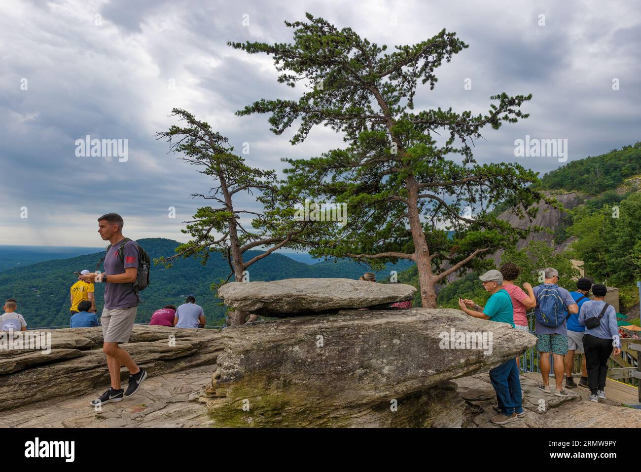 Group people sitting under tree usa hi-res stock photography and images -  Alamy