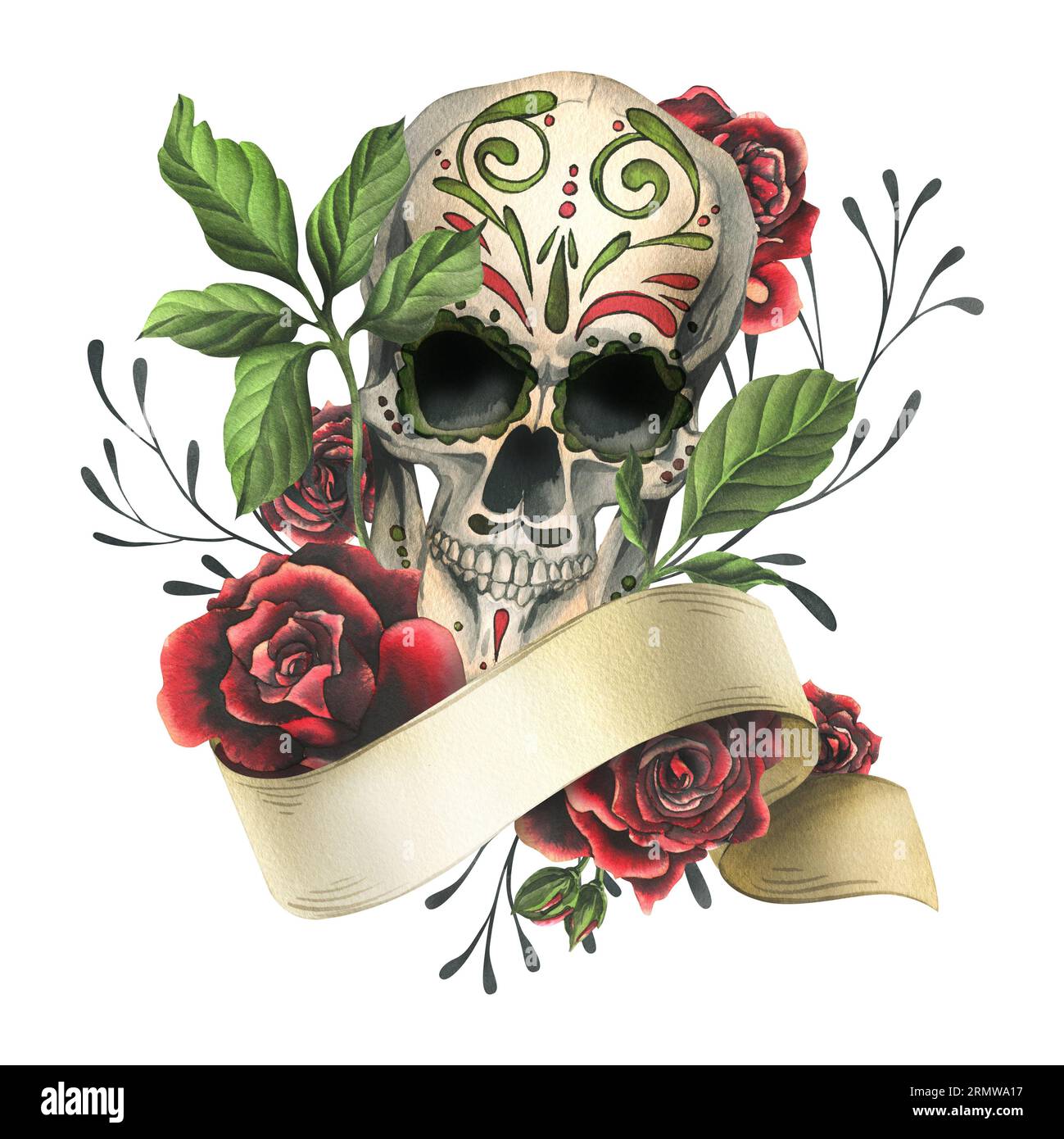 Human skull with hand drawn ornament with ribbon for text, red roses ...