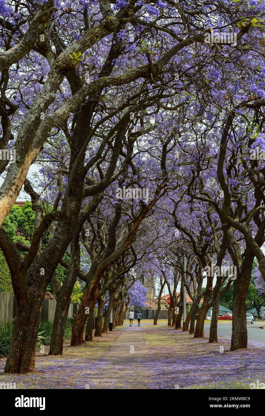 image not described image