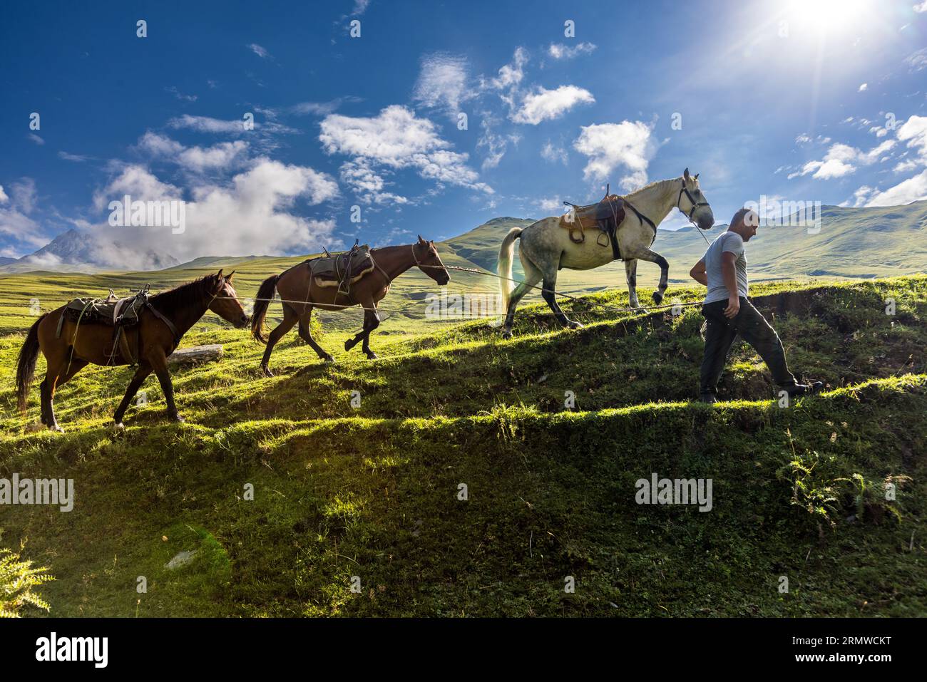 Pack horses are the main means of transportation in Tusheti. Girevi