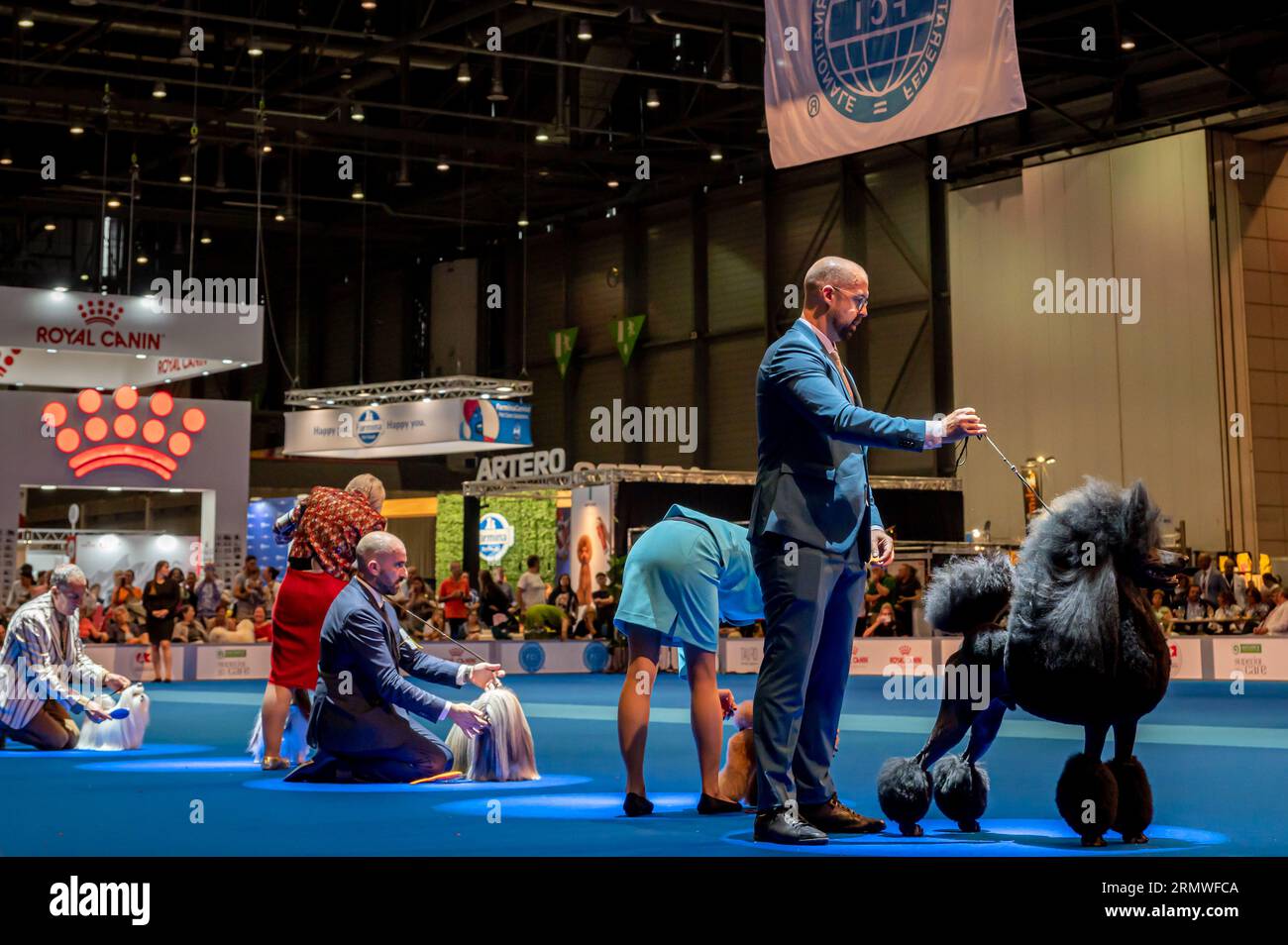 Geneva, Geneva Canton, Switzerland - 27 August, 2023: Handler presenting dog during World dog show. Stock Photo