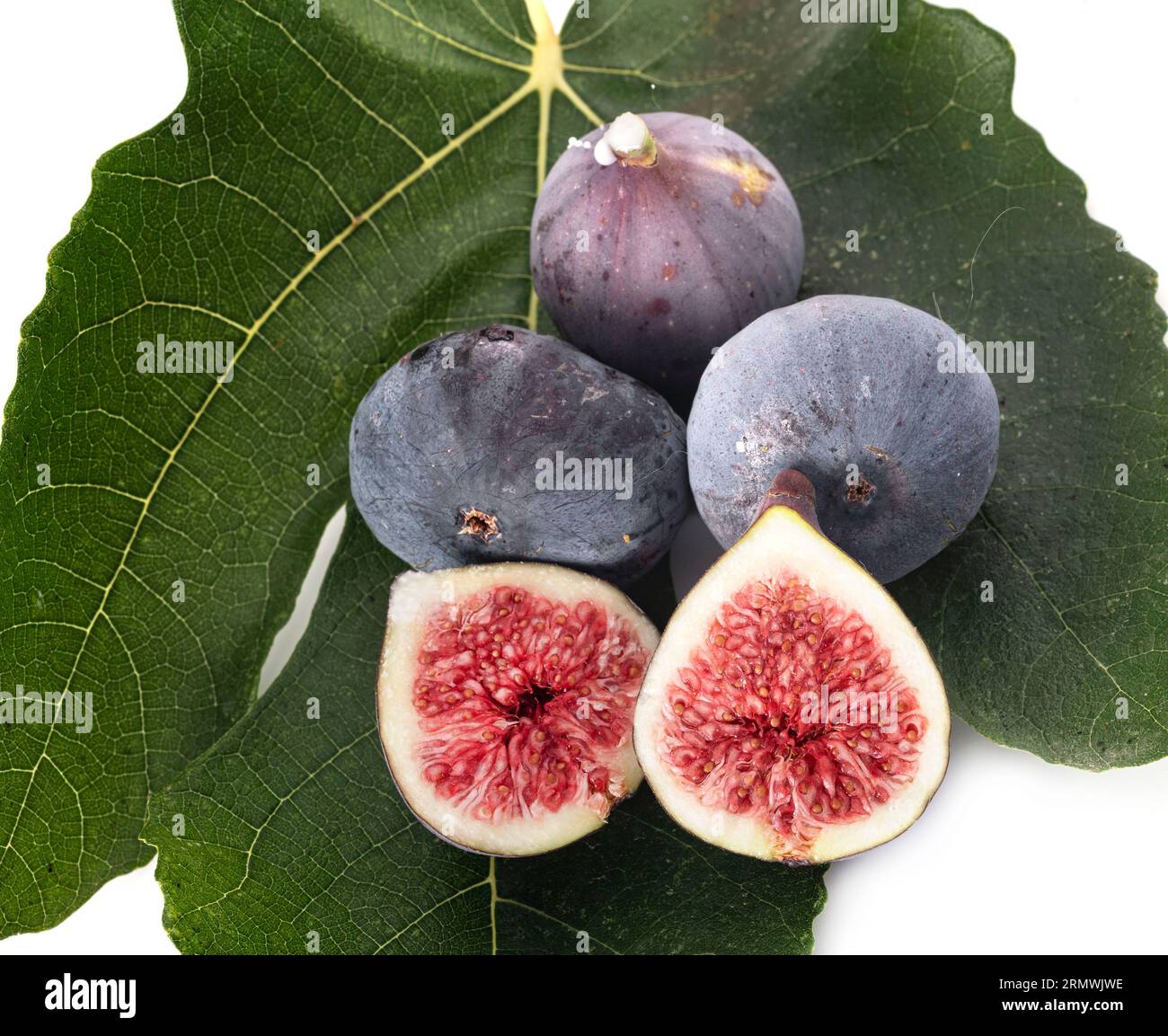 purple figs in front of white background Stock Photo