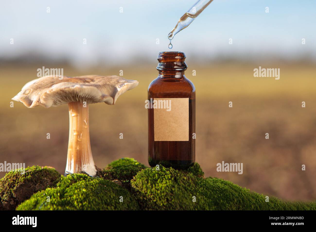 Natural Mushroom Extract Dropper on Moss Alternative Healing Stock