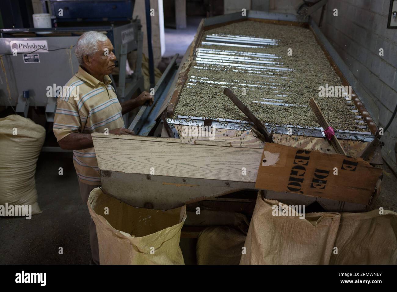 (141106) -- SAN CRISTOBAL,  -- Image taken on Oct. 28, 2014 shows a day laborer selecting coffee beans by their weight and size at a storehouse managed by La Esperanza Association of Coffee Growers (ASOCAES, for its acronym in Spanish) of Los Cacaos municipality, in San Cristobal, Dominican Republic. The life of 10 percent of the Dominican population revolves around coffee production. Fran Afonso) DOMINICAN REPUBLIC-SAN CRISTOBAL-AGRICULTURE-COFFEE e FRANxAFONSO PUBLICATIONxNOTxINxCHN   San Cristobal Image Taken ON OCT 28 2014 Shows a Day laborer selecting Coffee Beans by their Weight and Size Stock Photo