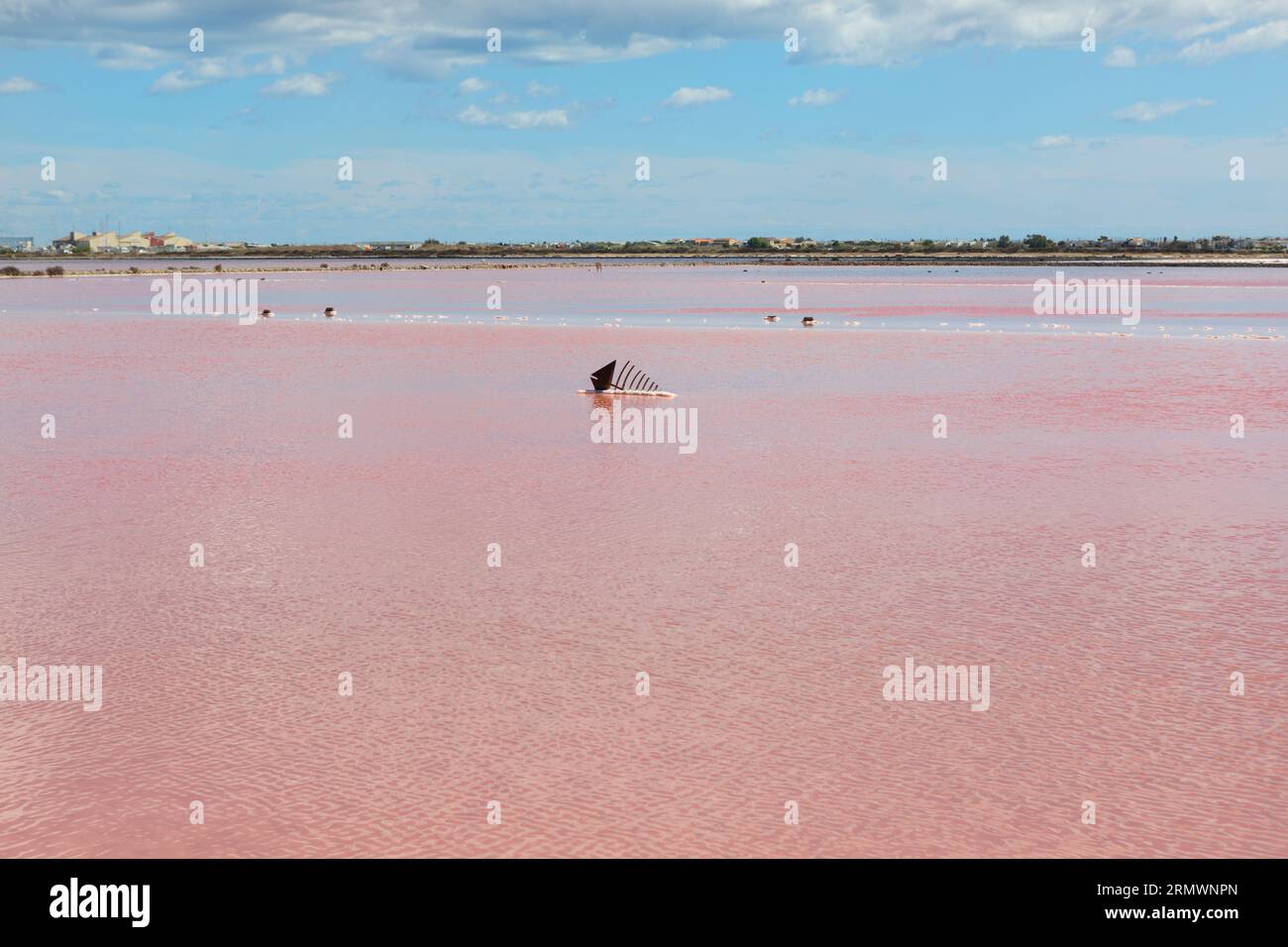 Pink salt lakes at l'île Saint-Martin de Gruissan in the South of France Stock Photo