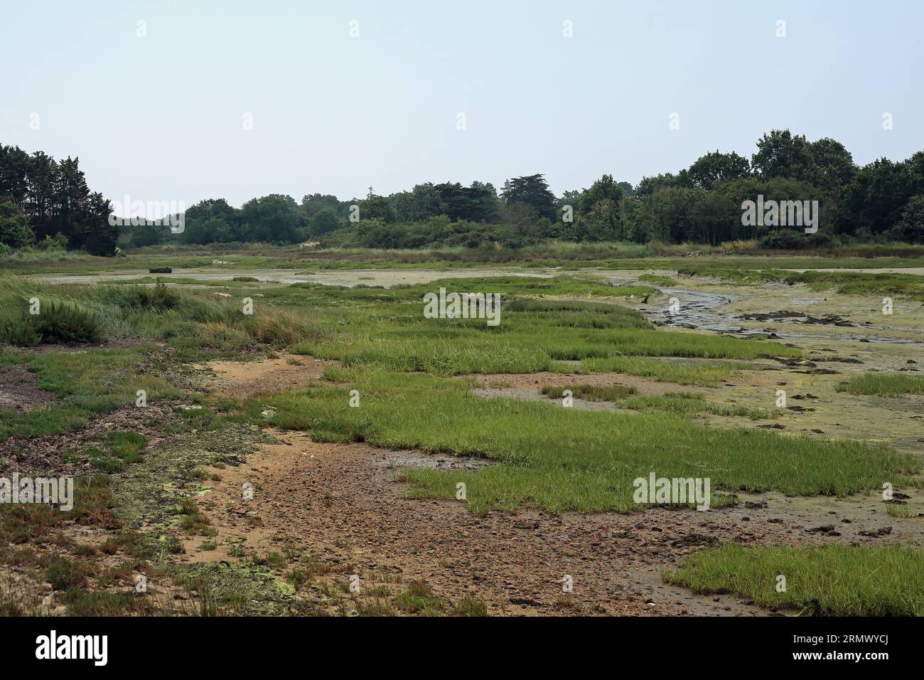Salt marsh cove at low tide close to Kermaillard Le Logeo Sarzeau Salt marsh cove at low tide close to Kermaillard Le Logeo Sarzeau