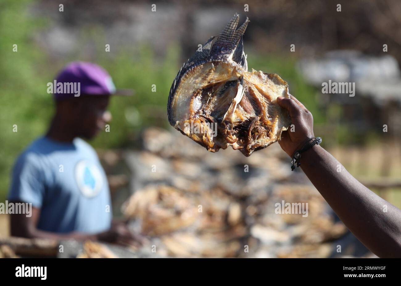 (141116) KARIBA, Nov. 16, 2014 Locals dry bream near a fishing