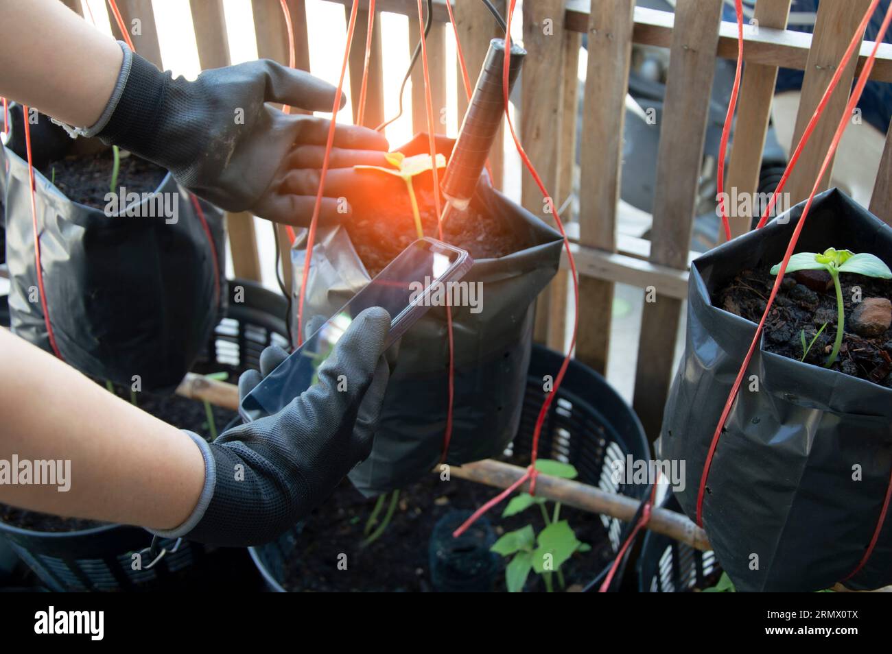 Farmers use tools to monitor soil quality. Smart farming concept