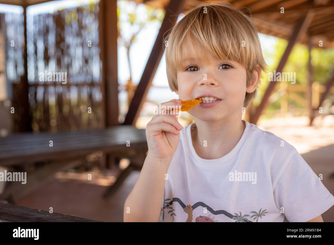 The blond boy eats chips and looks off into the distance with interest. A portrait of a five-year-old boy in the sunlight. Stock Photo
