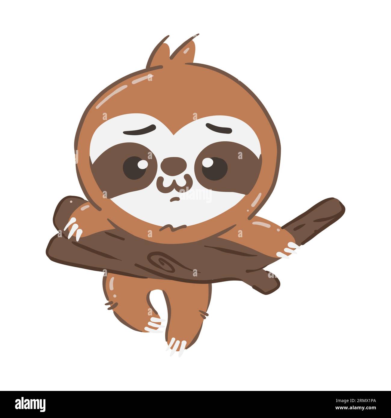 Sloth bear cartoon characters . Hand drawn style . White isolated