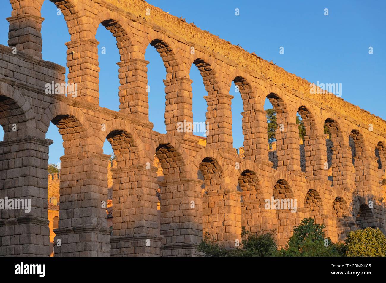 Spain, Castile and Leon, Segovia, Early morning golden light on the Aqueduct of Segovia, a Roman aqueduct with 167 arches built around the first centu Stock Photo