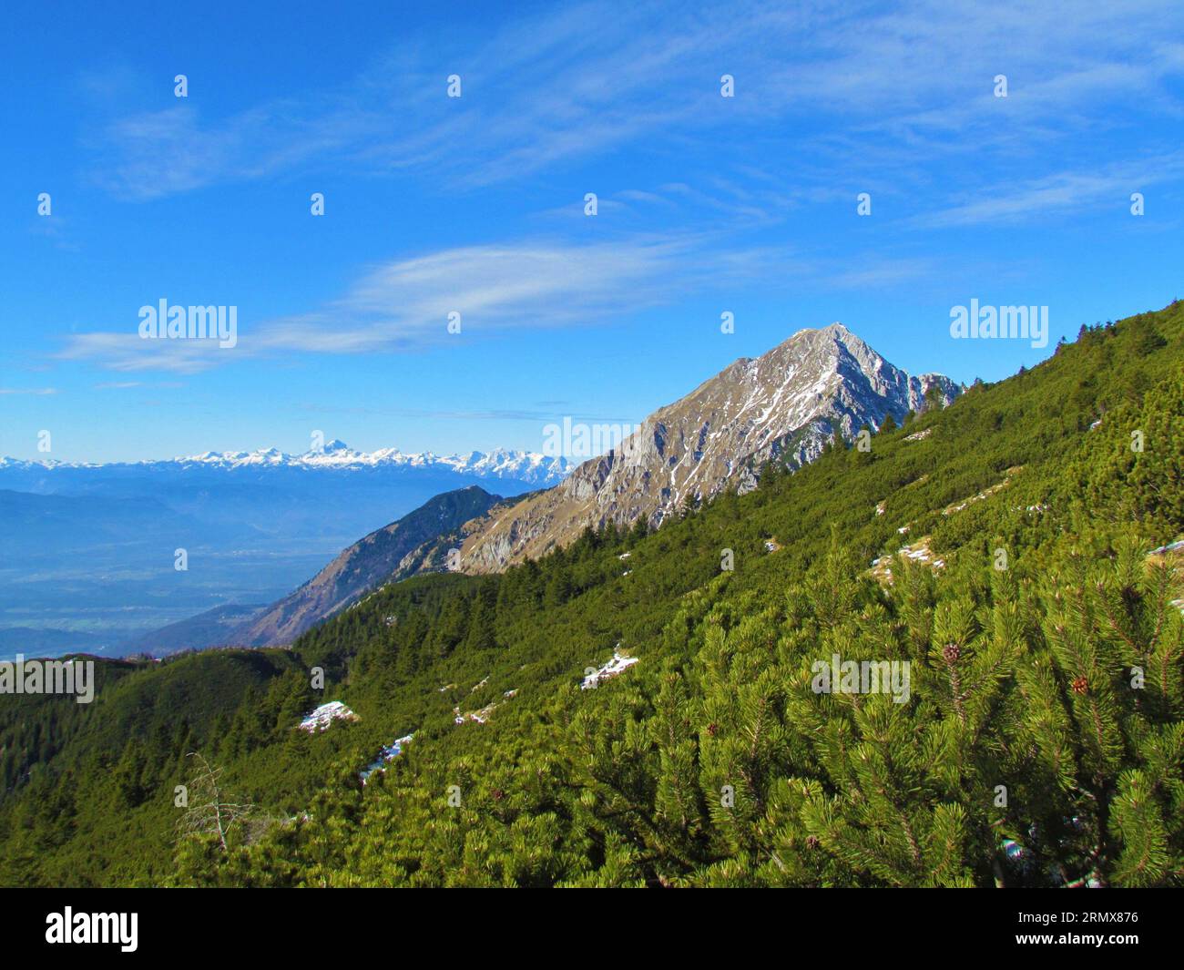 Scenic view of mountain Storzic in Kamnik-Savinja alps in Gorenjska region of Slovenia with creeping pine covering the slopes in the front and mountai Stock Photo