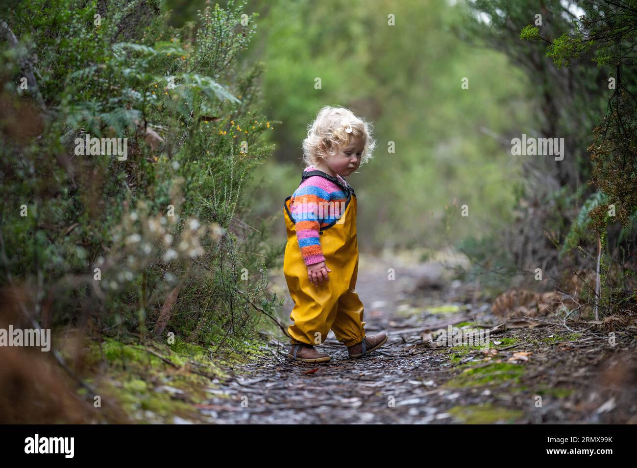 toddler exploring in the forest in the trees in australia in yellow