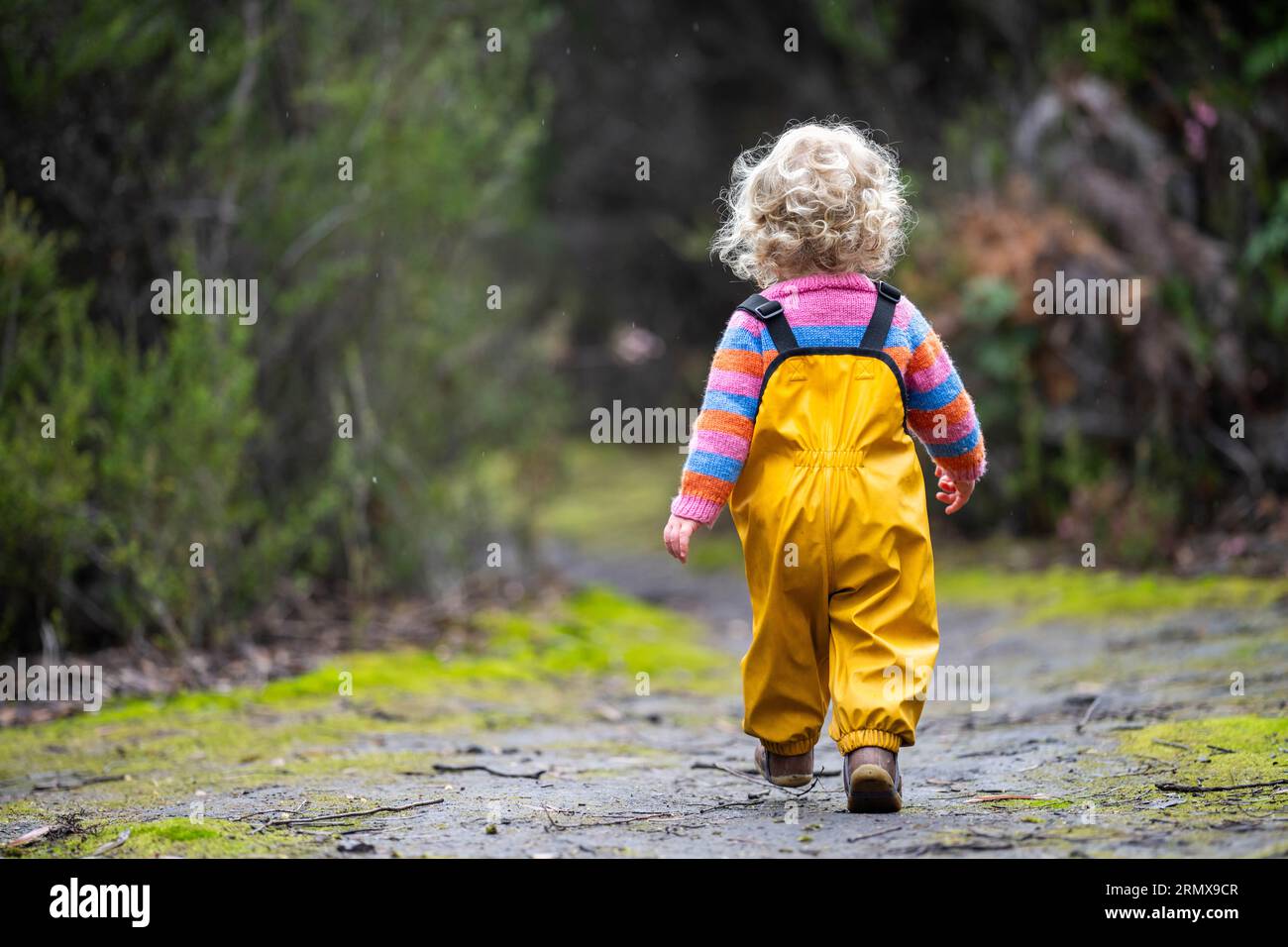 toddler exploring in the forest in the trees in australia in yellow