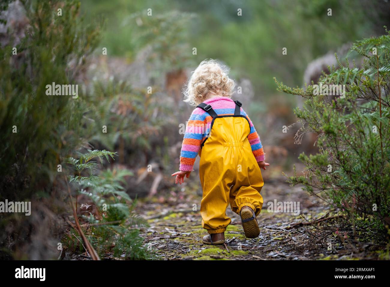 toddler exploring in the forest in the trees in australia in yellow