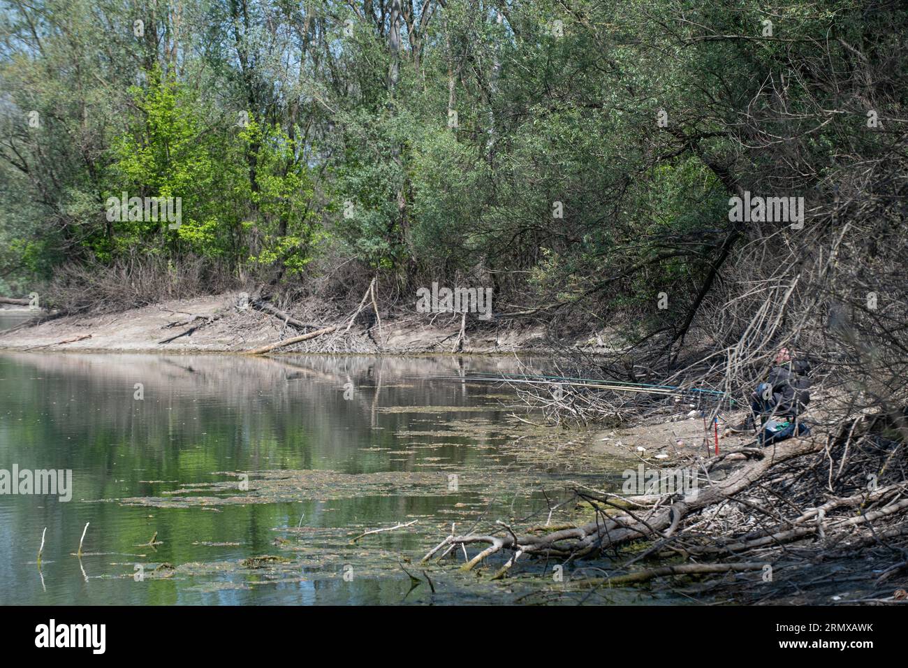 Piacenza Italy 17th November 2017 Frontal Stock Photo 1262126305 |  Shutterstock, image size:1300x956