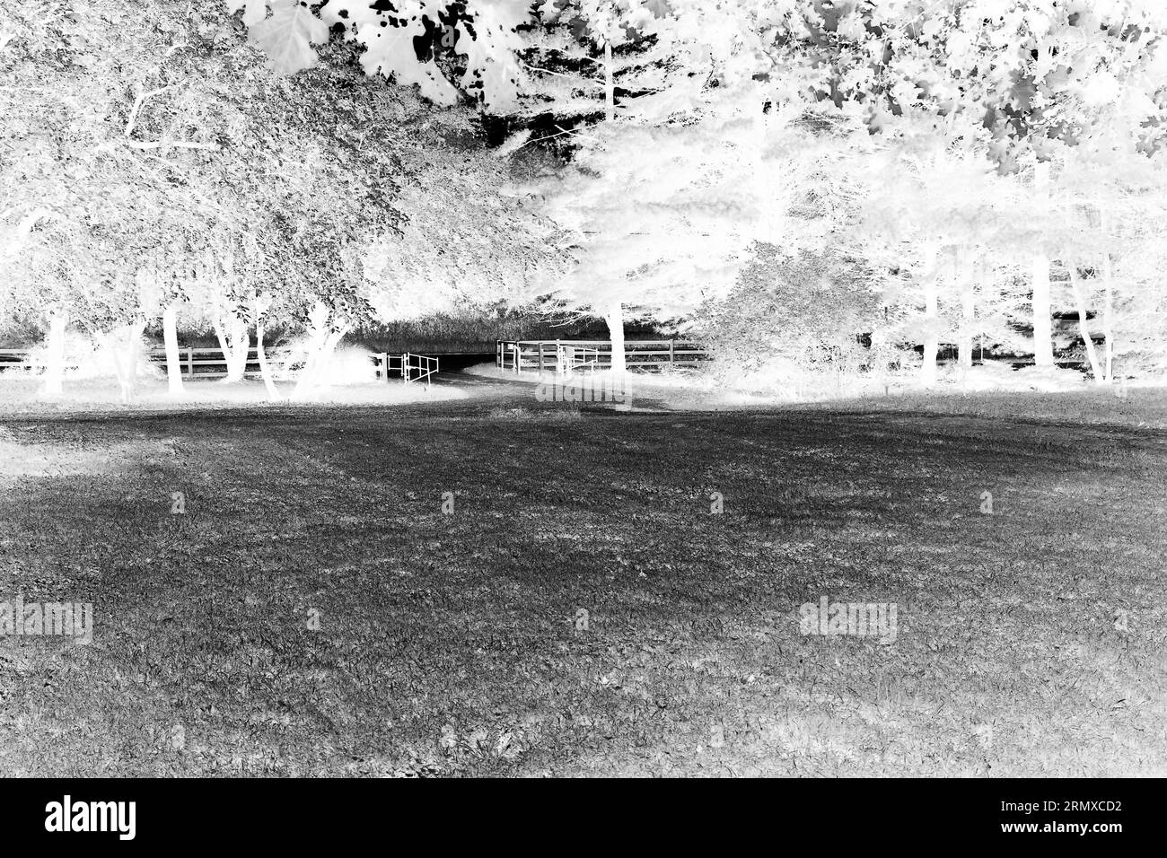 Pathway to a gate Black and White Stock Photos & Images - Alamy
